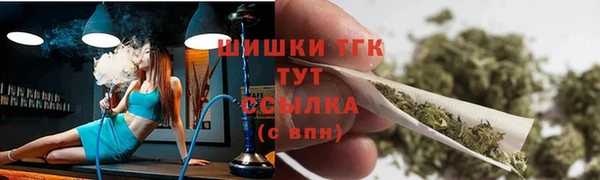 прущие грибы Вязники