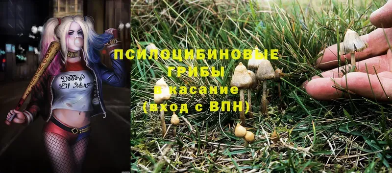 Псилоцибиновые грибы Magic Shrooms  цены   Агидель 